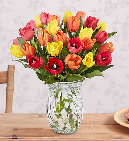 Assorted Fall Tulips